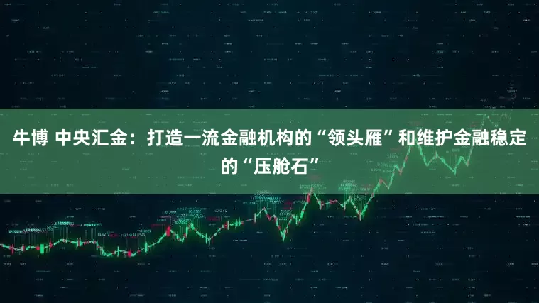 牛博 中央汇金：打造一流金融机构的“领头雁”和维护金融稳定的“压舱石”